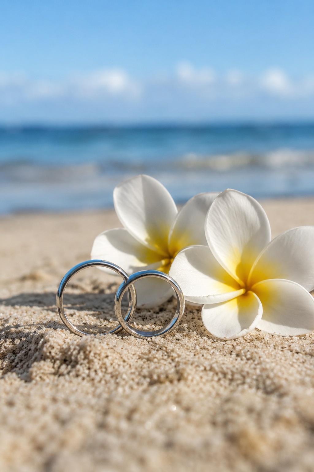砂の上に置かれた二つの結婚指輪とプルメリア